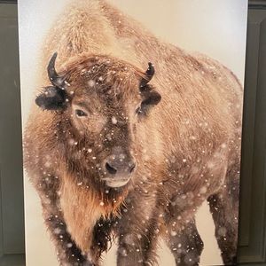 New buffalo canvas